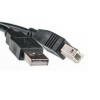    USB 2.0 AM/BM 3.0m PowerPlant (KD00AS1221)