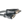   HDMI A to HDMI C (mini), 0.5m PowerPlant (KD00AS1192)