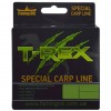 Леска Fishing ROI T-REX Special Carp Line Green 300м 0,30мм 8.9кг (48-00-030)