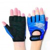 Перчатки для фитнеса Stein Rouse GLL-2317 blue (L) (GLL-2317blue/L)