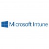 Офисное приложение Microsoft Microsoft Intune 1 Month(s) Corporate (51e95709)