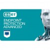  ESET Endpoint protection advanced 10    1year Busines (EEPA_10_1_B)