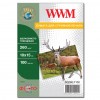 Бумага WWM 10x15 (SG260.F100)